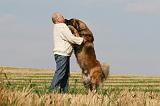 ADULTE ET CHIEN 294